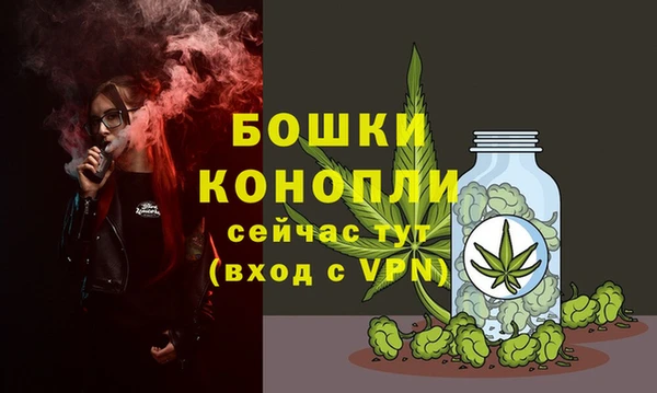 стаф Всеволожск