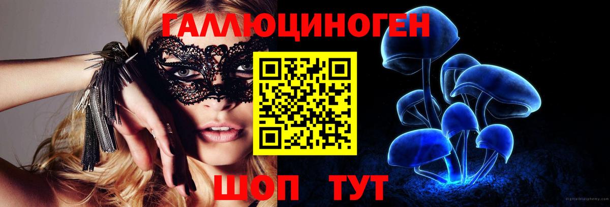 Галлюциногенные грибы Psilocybe  Кандалакша  как найти наркотики  Псилоцибиновые грибы MAGIC MUSHROOMS 