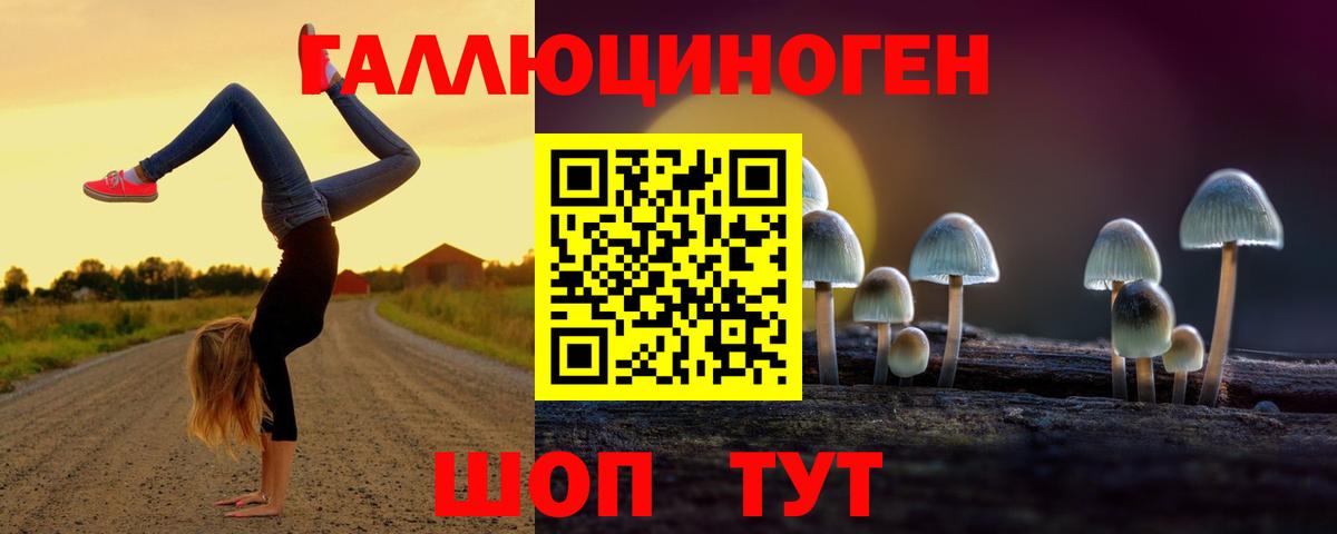 Галлюциногенные грибы Cubensis Кандалакша